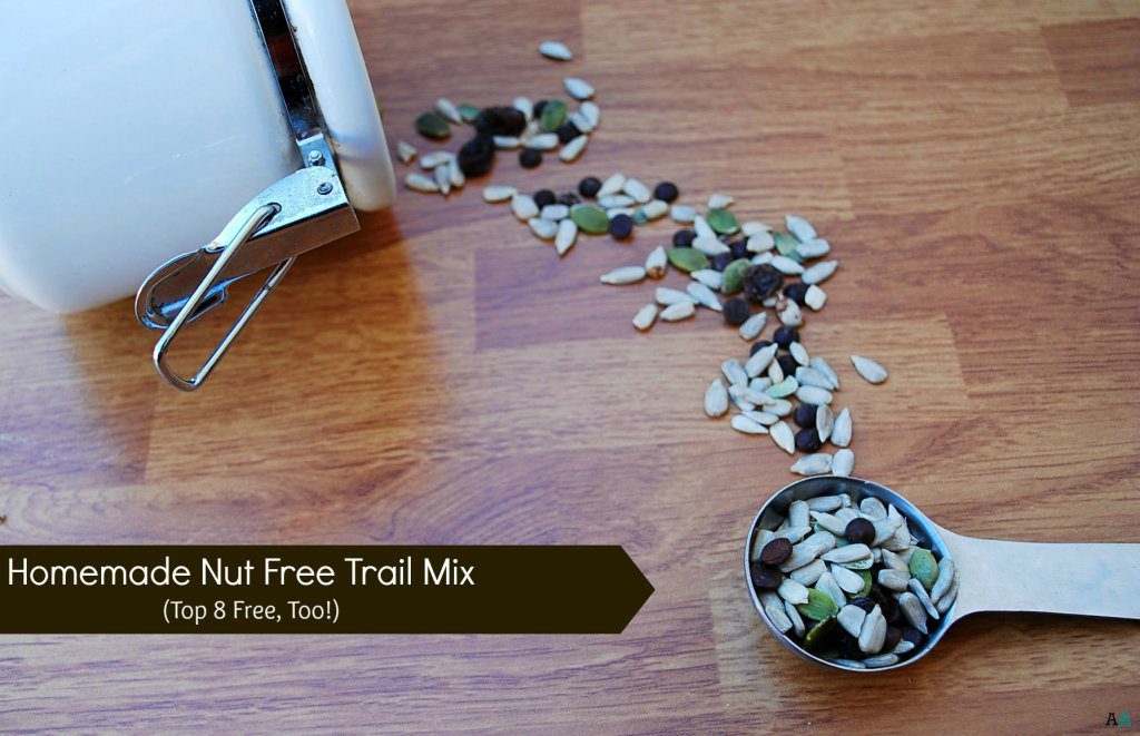 nut-free homemade trial mix