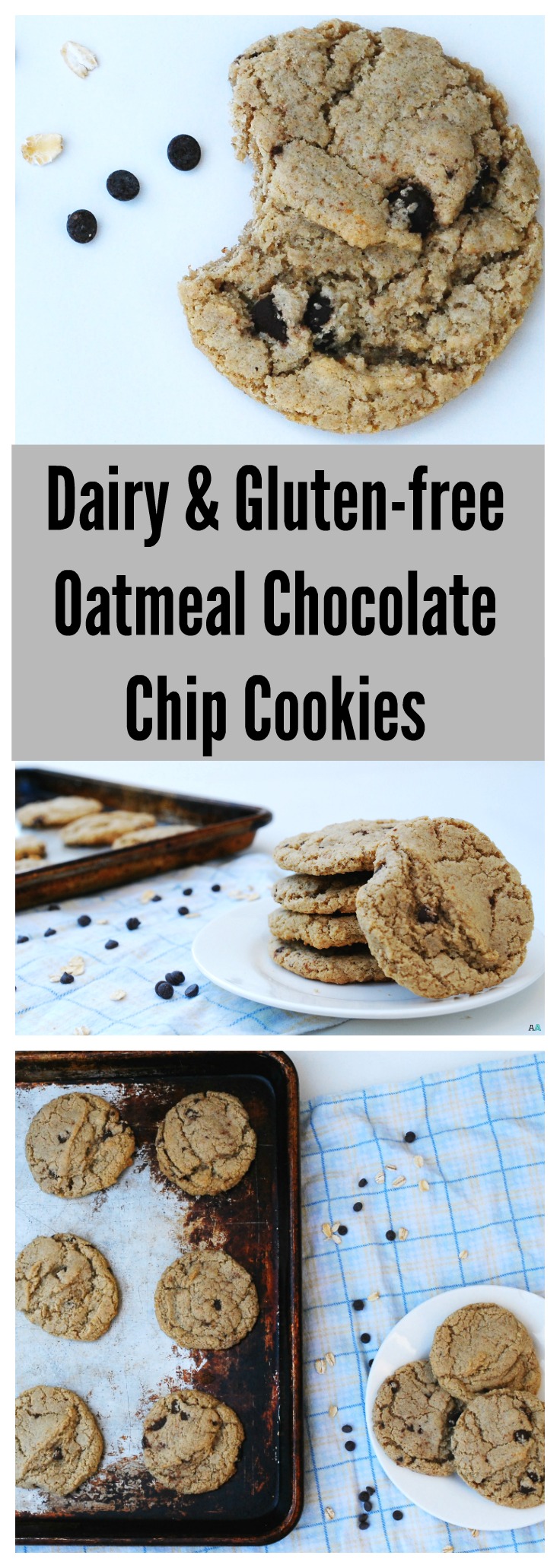 Gluten, Dairy & Eggfree Oatmeal Chocolate Chip Cookies Allergy
