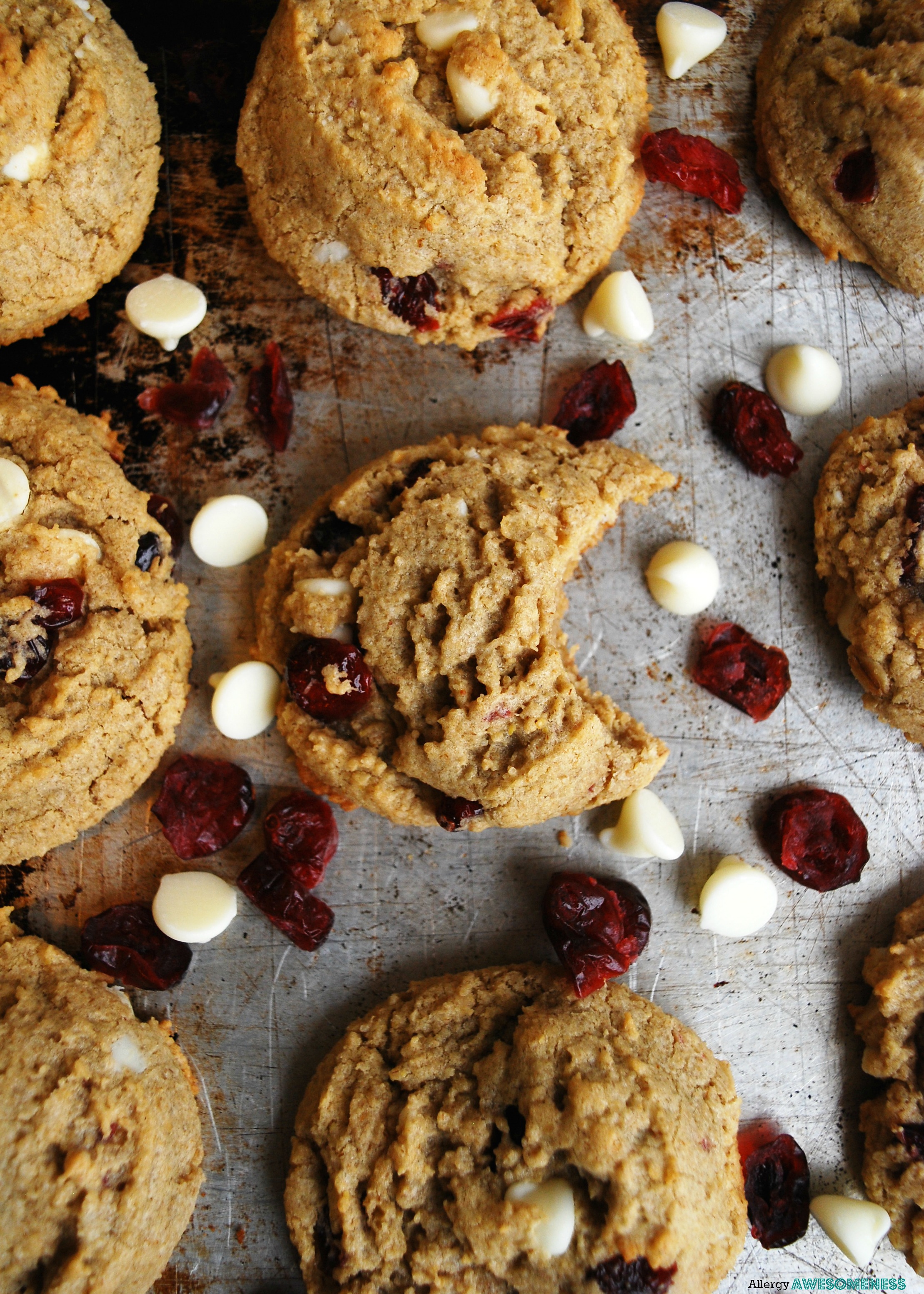 gluten-free-dairy-free-white-chocolate-craisin-cookies-on-a-baking-sheet-above