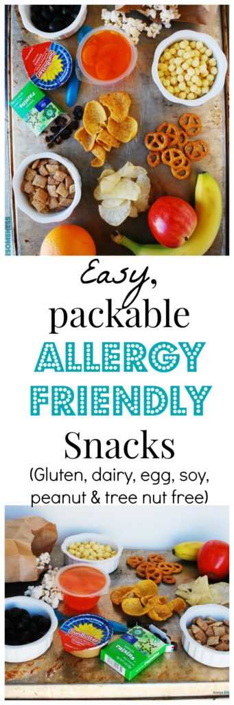 Easy Portable Allergy Friendly Snacks by AllergyAwesomeness