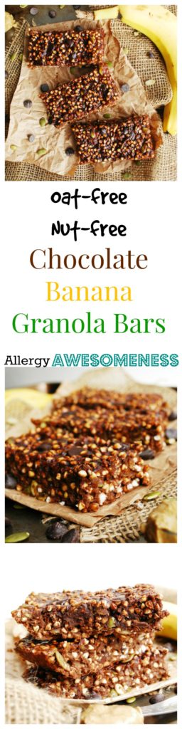 Oat free & Nut Free Chocolate Banana Granola Bars by AllergyAwesomeness