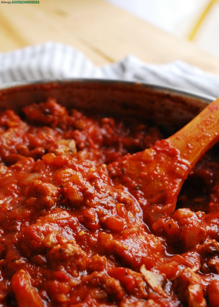 Homemade, thick Ragu Sauce Recipe by Allergy Awesomeness