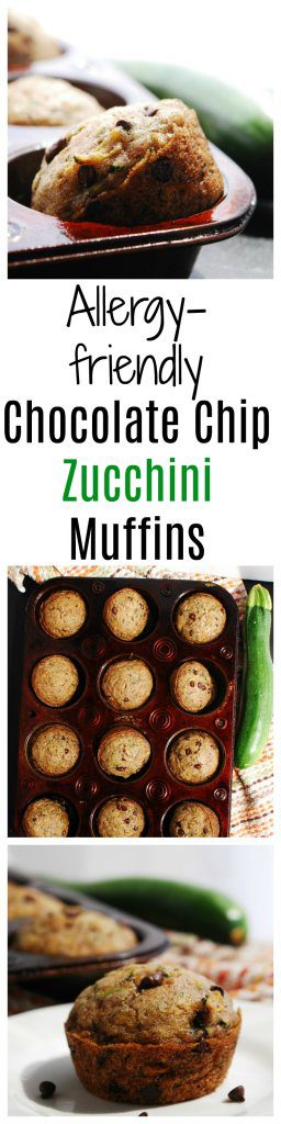 Allergy-friendly Chocolate Chip Zucchini Muffins Recipe by AllergyAwesomeness