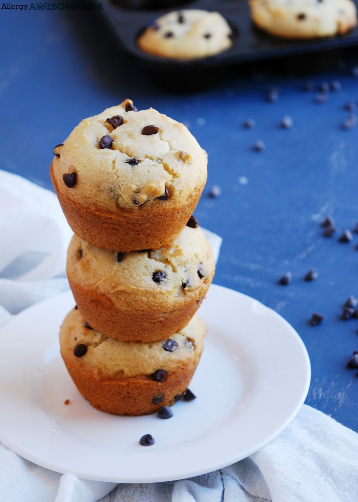 Vegan Chocolate Chip (GF) – MIGHTYLICIOUS