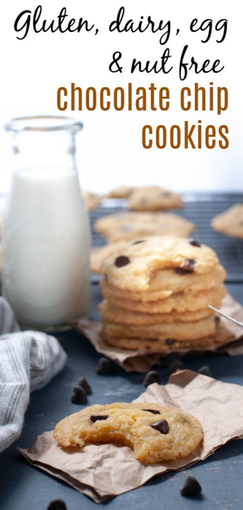 gluten-dairy-egg-nut-free-chocolate-chip-cookies