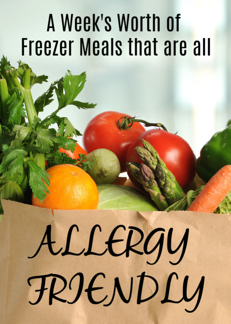 https://allergyawesomeness.com/wp-content/uploads/2019/07/a-weeks-worth-of-allergy-friendly-freezer-meals.jpg