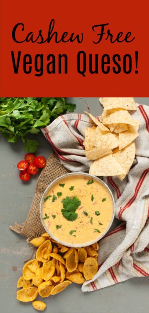 cashew-free-vegan-queso-recipe-by-allergy-awesomeness