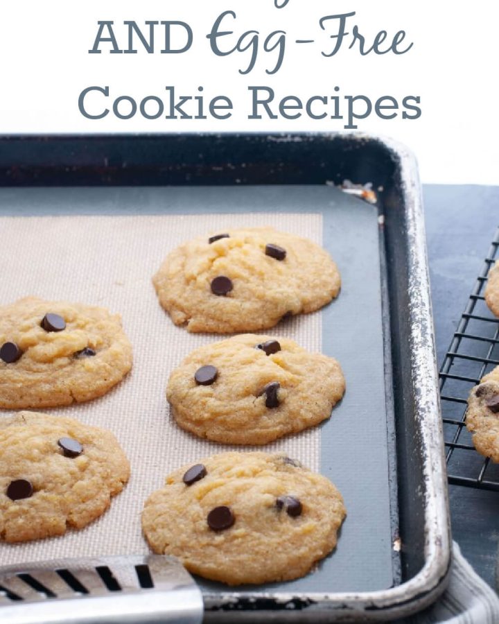dairy-free-egg-free-cookie-recipes