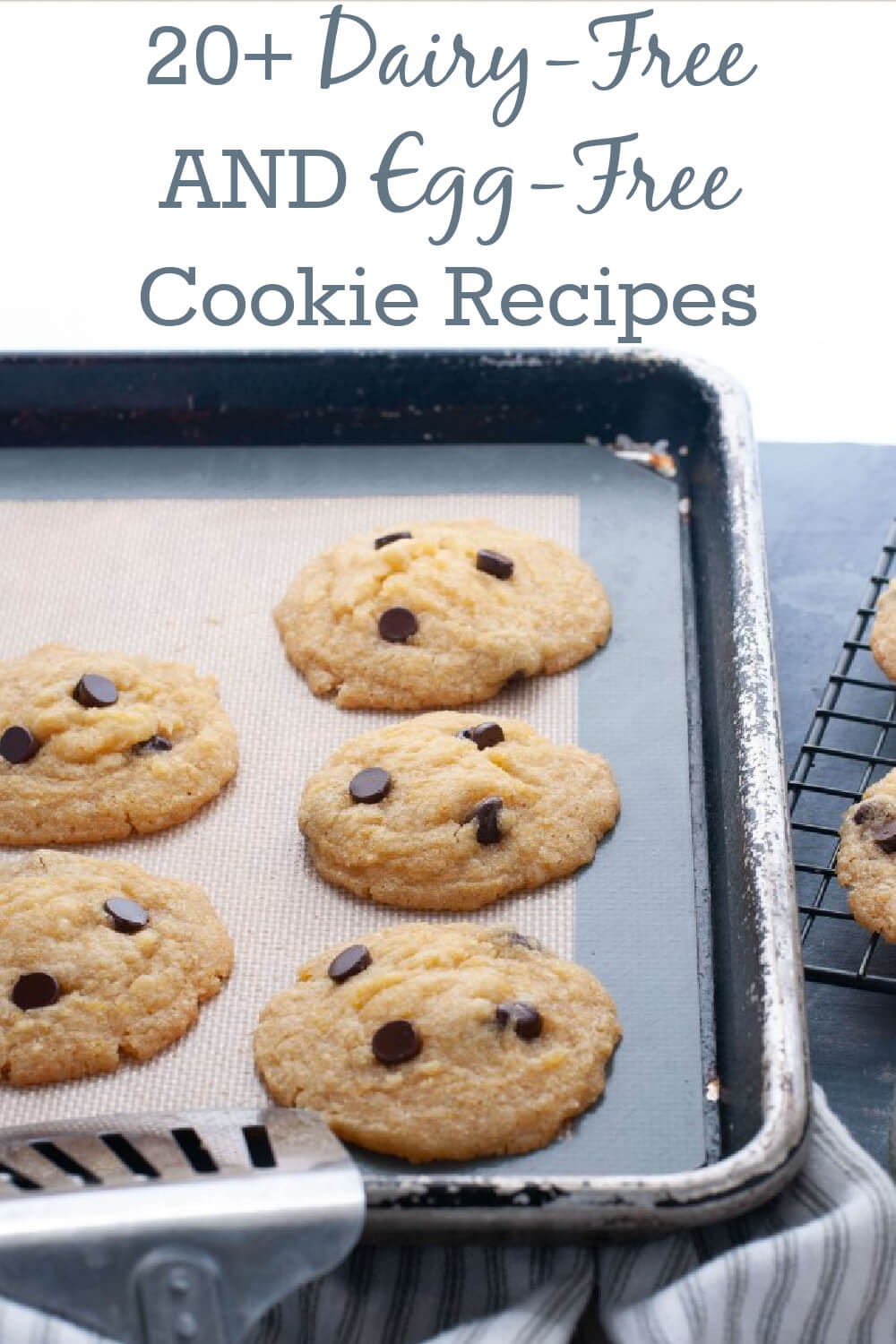 https://allergyawesomeness.com/wp-content/uploads/2023/03/dairy-free-egg-free-cookie-recipes.jpg