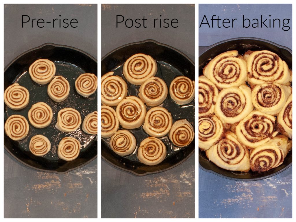 what-gluten-free-cinnamon-rolls-look-like-after-rising-comparison-photo