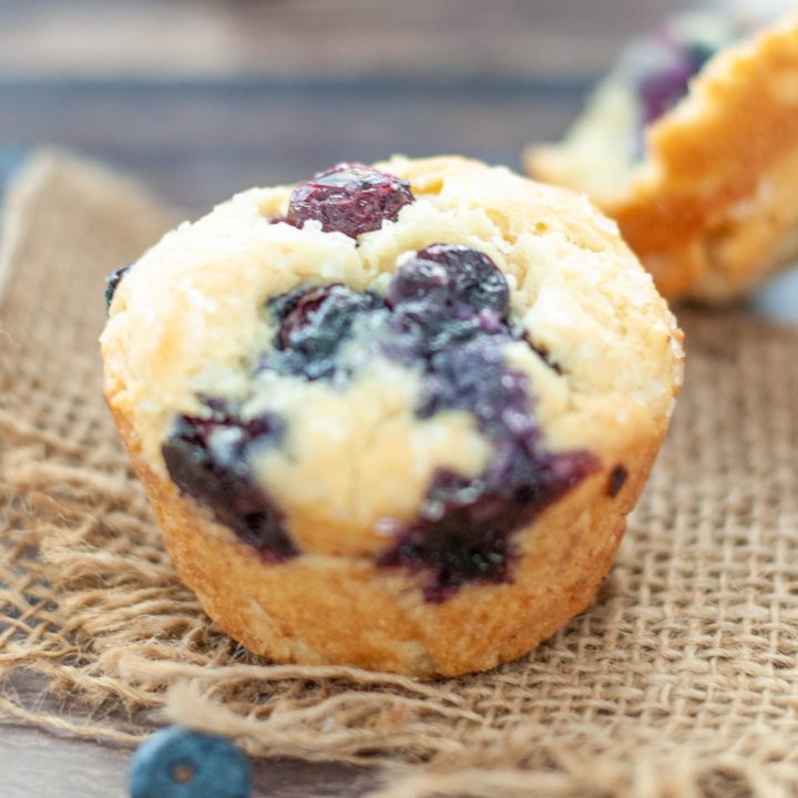 gluten-free-blueberry-muffin-up-close